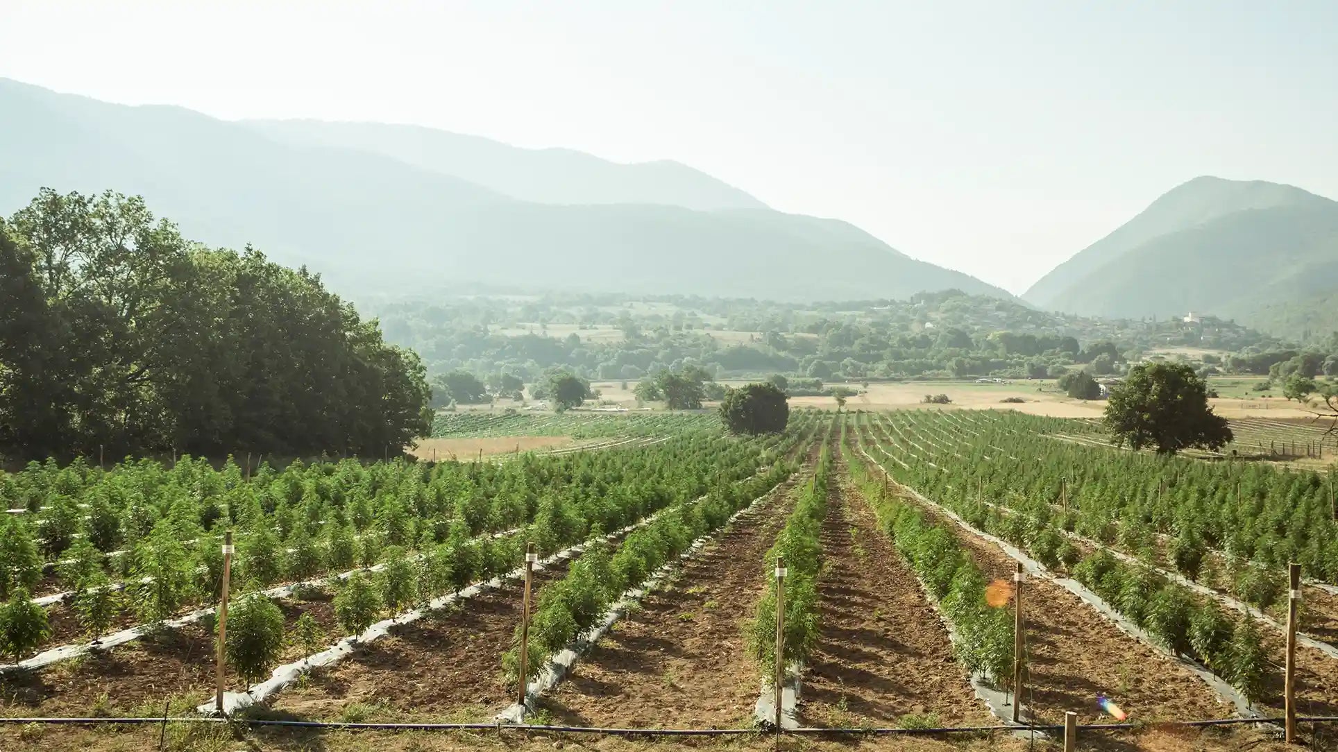 WHAT IS ORGANIC FARMING?