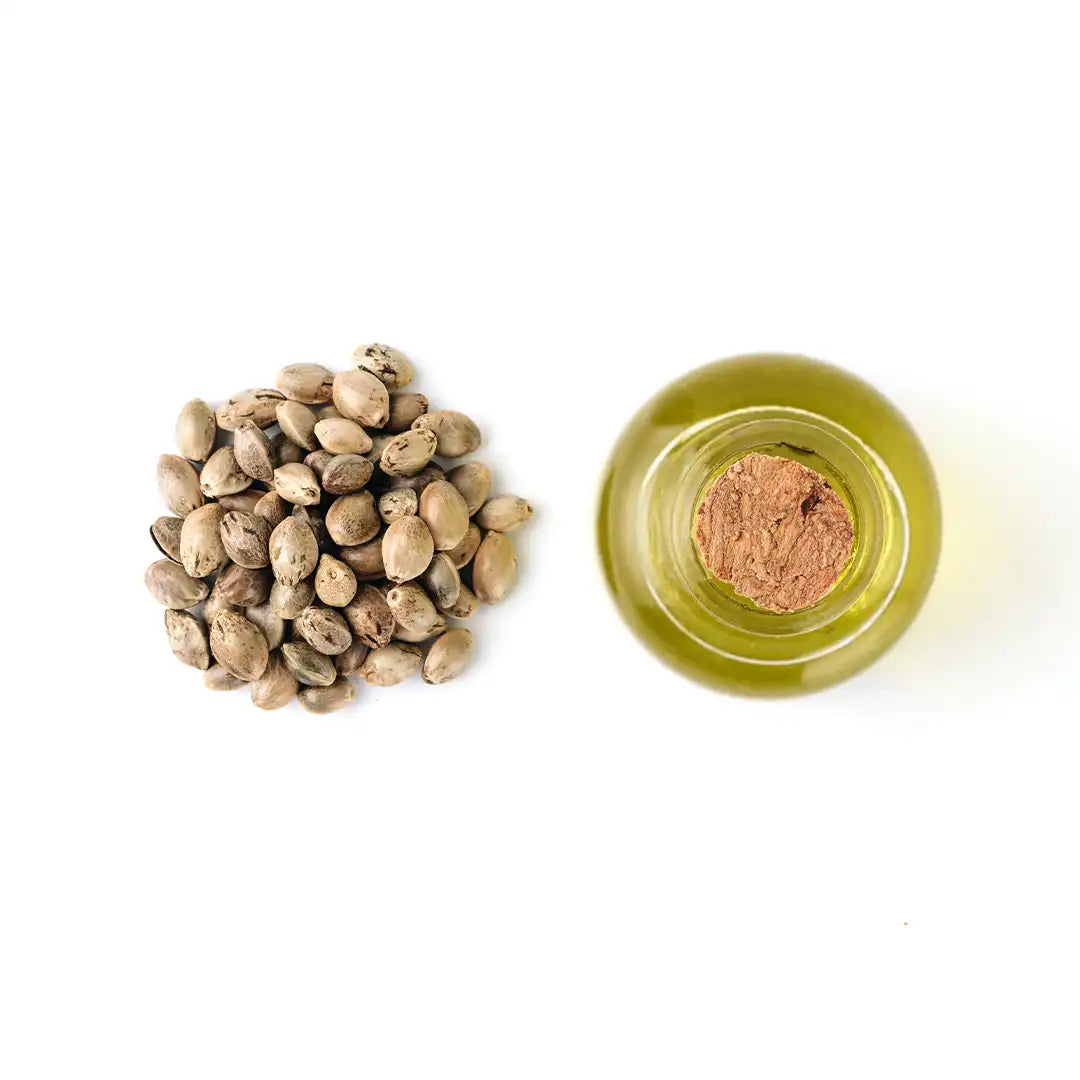 semi-di-cbg