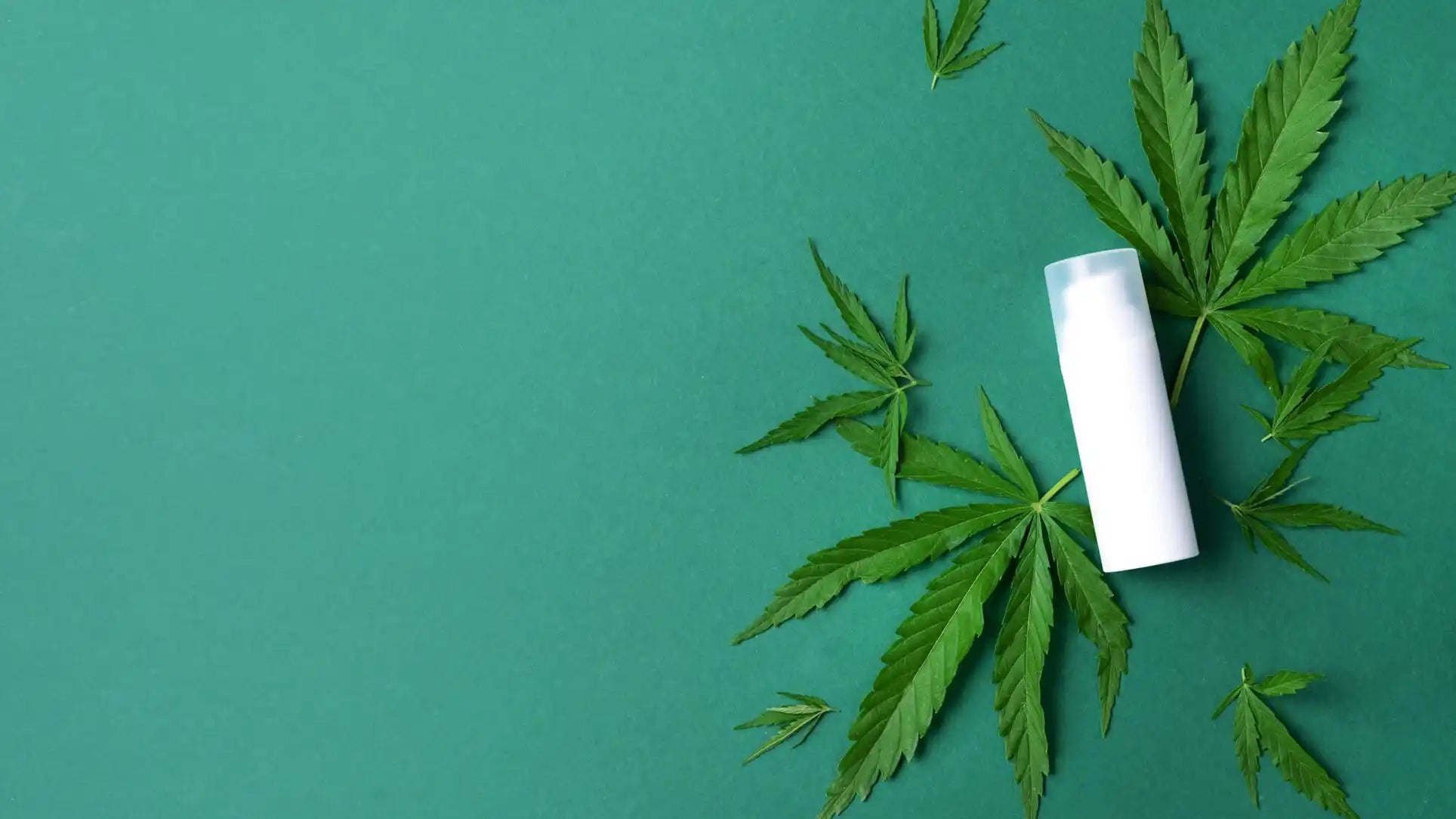 How to shop for wholesale CBD: a guide for CBD resellers