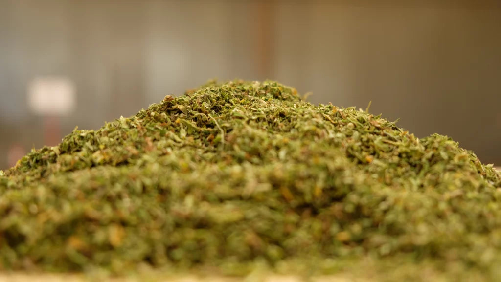 3 rules of thumb you need to buy wholesale hemp biomass